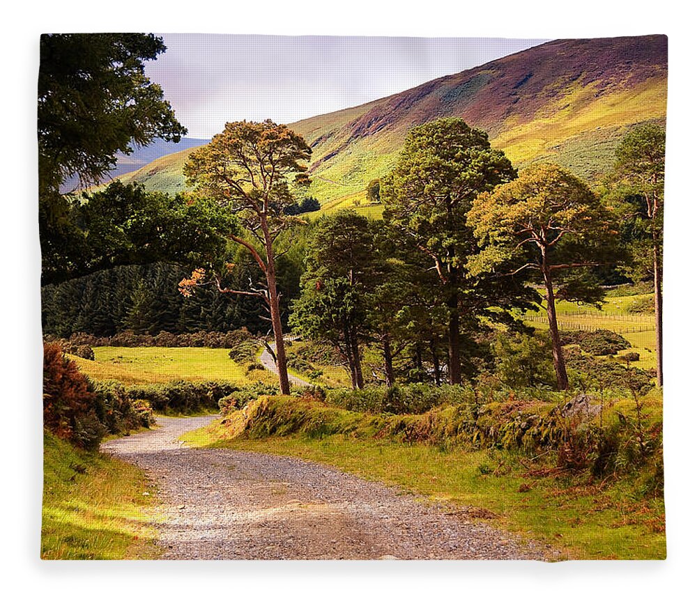 Ireland Fleece Blanket featuring the photograph Celtic Spirit. Wicklow Mountains. Ireland #2 by Jenny Rainbow