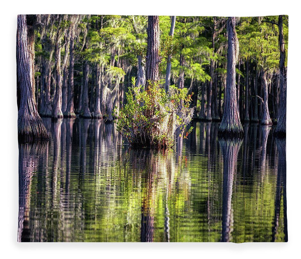Abstract Fleece Blanket featuring the photograph Cypress Swamp -1 #1 by Alex Mironyuk
