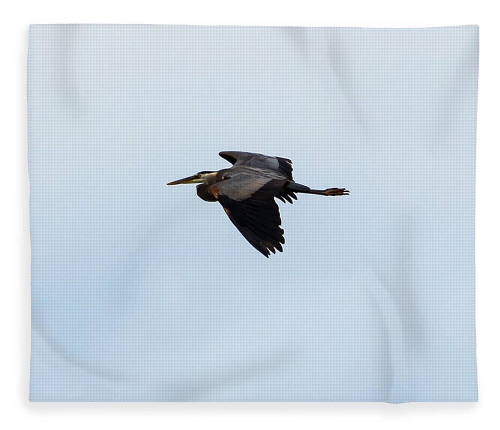 Great Blue Heron Fleece Blanket featuring the photograph Great Blue Heron #1 by Holden The Moment