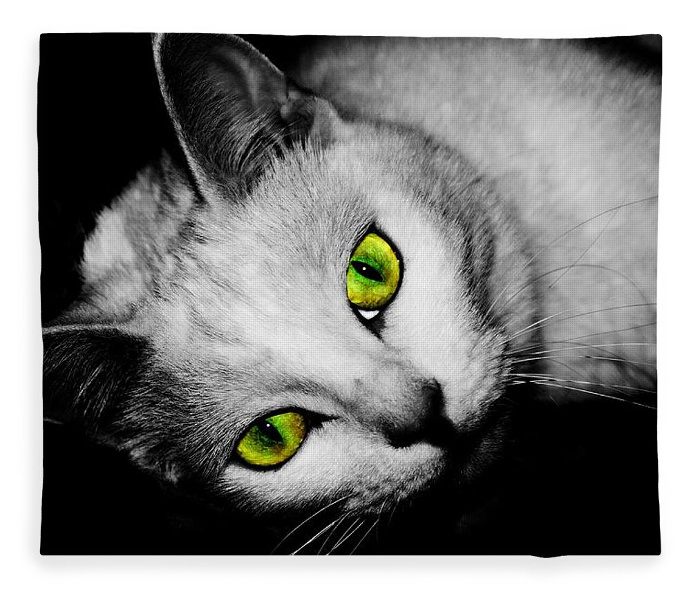 Cats Fleece Blanket featuring the photograph Green Eyes by Angie Tirado