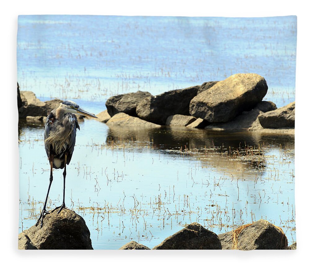 Alert Fleece Blanket featuring the photograph Heron on the Rocks #2 by Travis Rogers