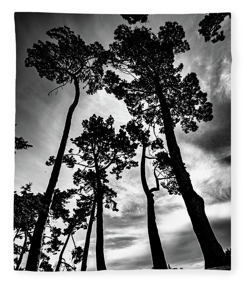 Tree Fleece Blanket featuring the photograph Leaning Trees by Roseanne Jones