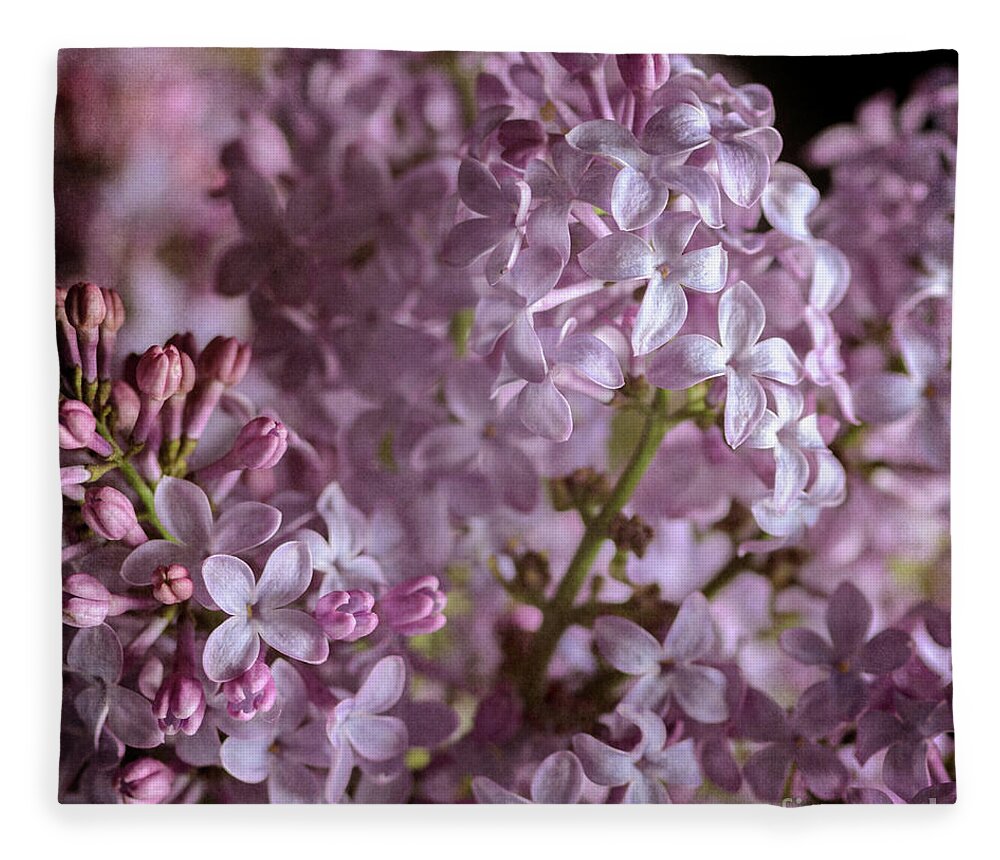 Lilacs Fleece Blanket featuring the photograph Lilac Bouquet II by Tamara Becker