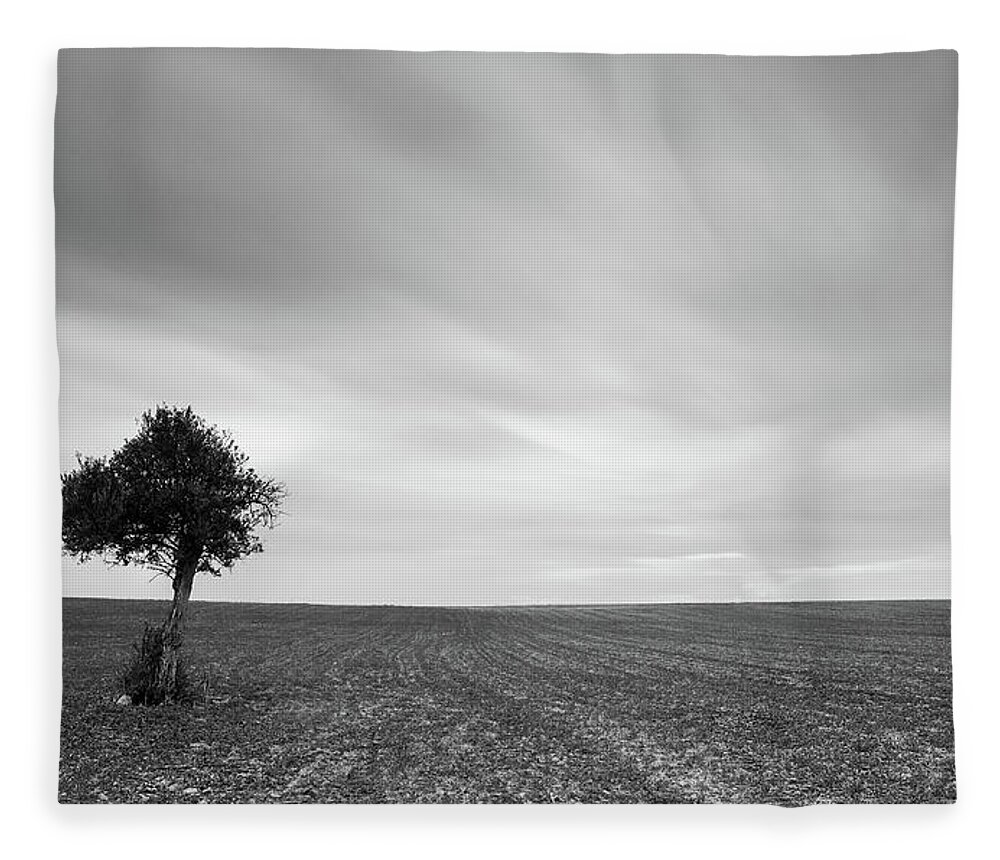 Olive Tree Fleece Blanket featuring the photograph Lonely Olive tree with moving clouds #1 by Michalakis Ppalis
