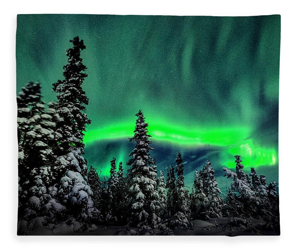 Alaska Fleece Blanket featuring the photograph Neon Blaze #1 by Robert Fawcett