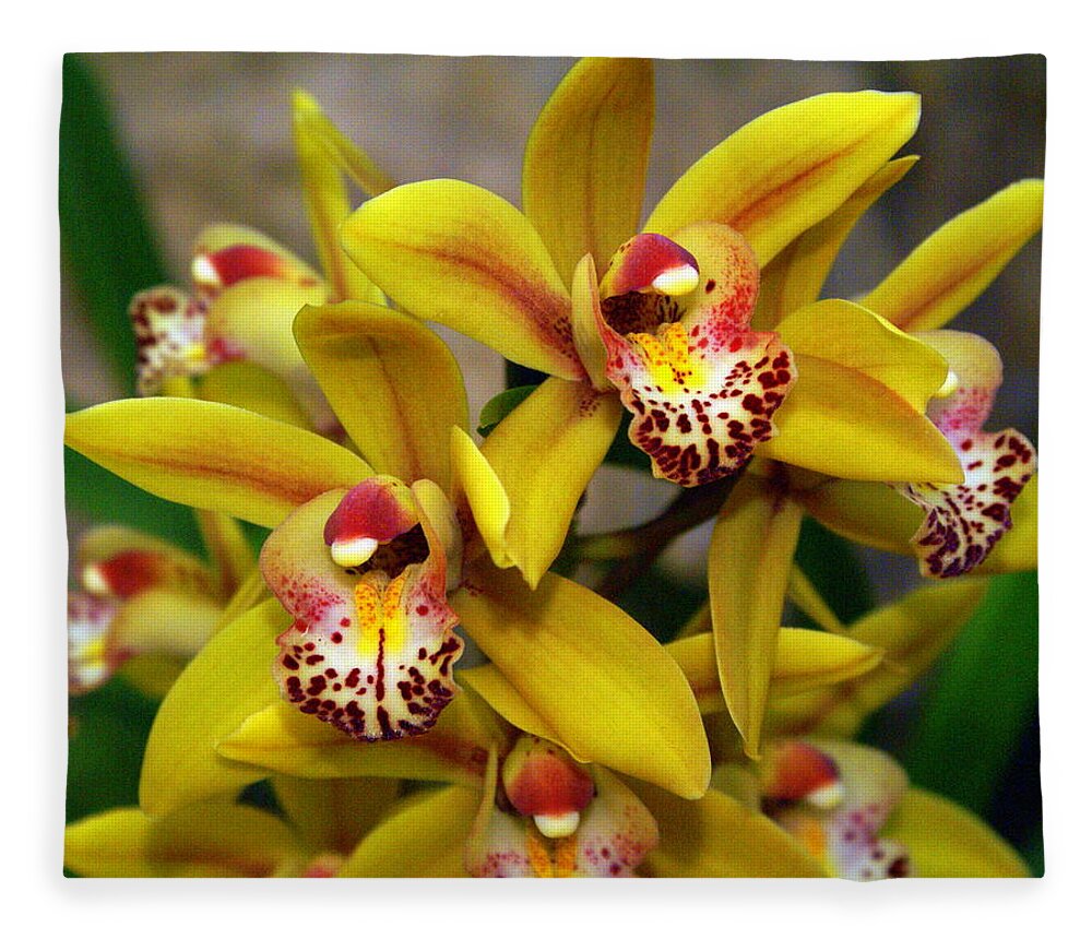 Flower Fleece Blanket featuring the photograph Orchid 9 #1 by Marty Koch