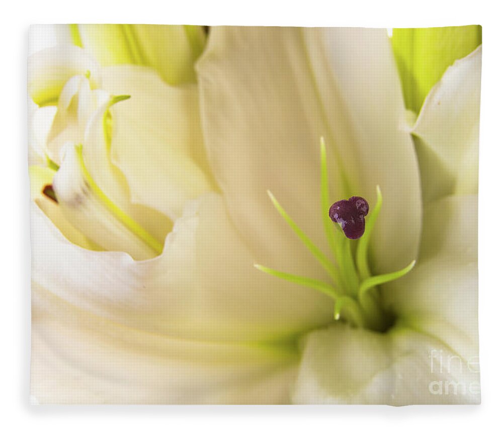 Alive Fleece Blanket featuring the photograph Oriental Lily Flower by Raul Rodriguez