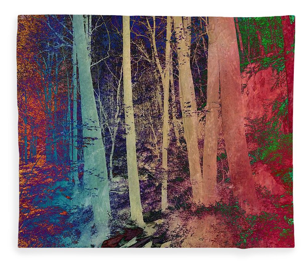 Path Fleece Blanket featuring the photograph Path #1 by Marianna Mills
