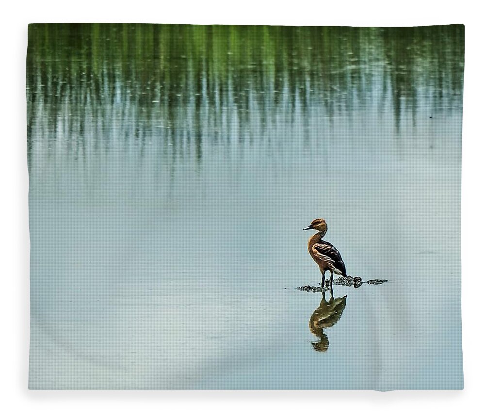 Duck Fleece Blanket featuring the photograph Peaceful Morning #1 by Jerry Connally
