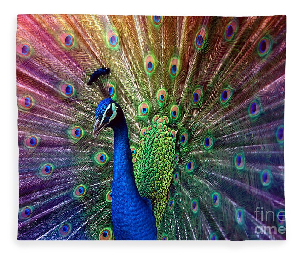 Beauty Fleece Blanket featuring the photograph Peacock by Hannes Cmarits