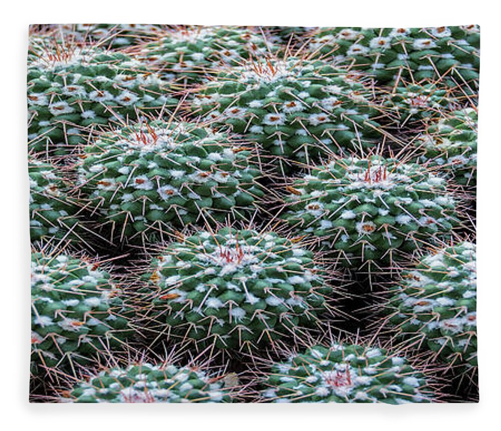 Plant Fleece Blanket featuring the photograph Pincushion Cactus #2 by Pat Cook