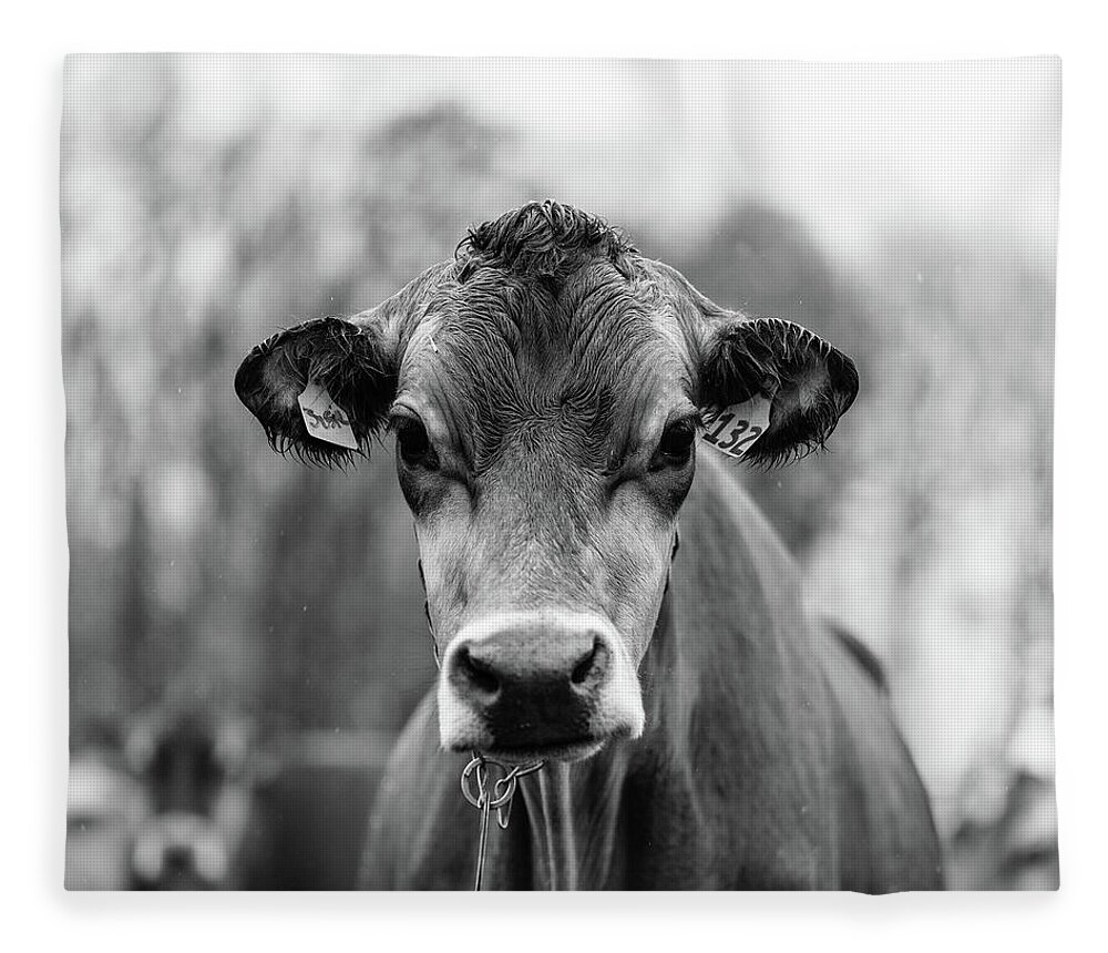 Livestock Fleece Blanket featuring the photograph Portrait of a dairy cow in the rain Stowe Vermont by Edward Fielding