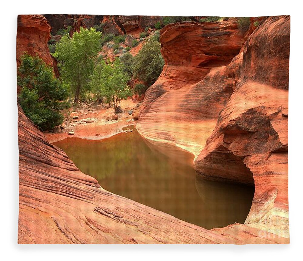 Red Cliffs Fleece Blanket featuring the photograph Red Cliffs Oasis #1 by Adam Jewell