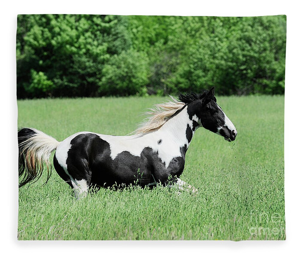 Rosemary Farm Sanctuary Fleece Blanket featuring the photograph Cleopatra by Carien Schippers