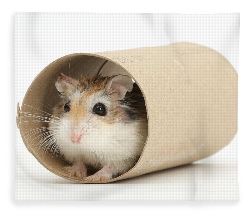 fleece bedding for hamsters