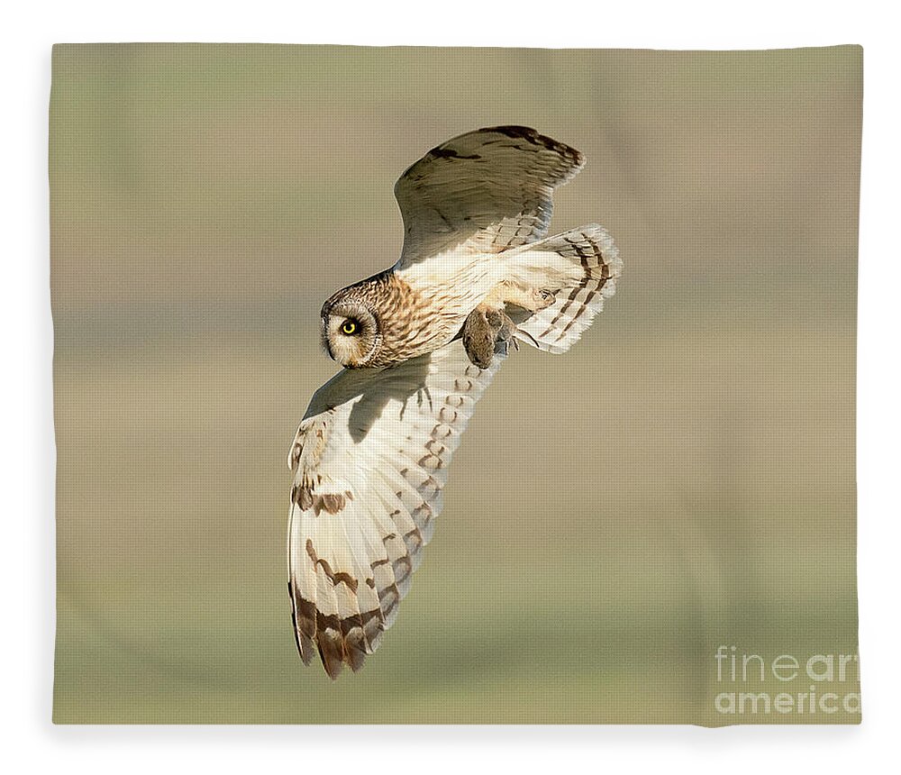 Bird Fleece Blanket featuring the photograph Short Eared Owl with Prey #1 by Dennis Hammer