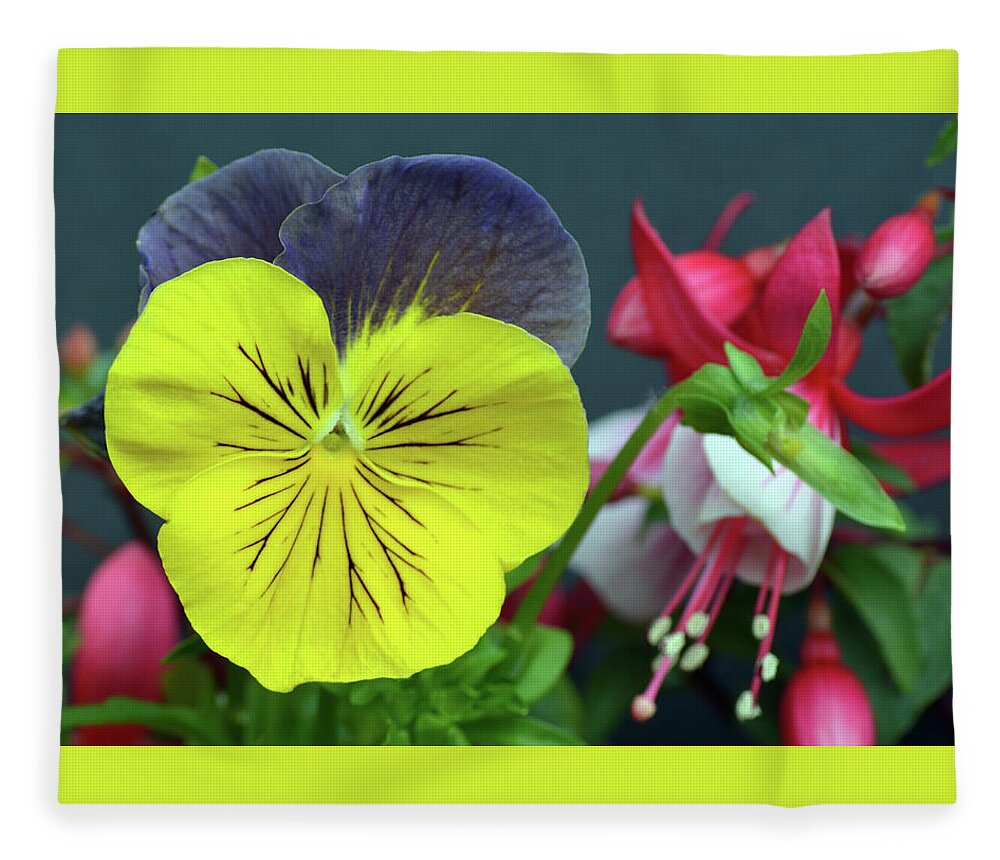 Pansies Fleece Blanket featuring the photograph Summer Colours #1 by Terence Davis
