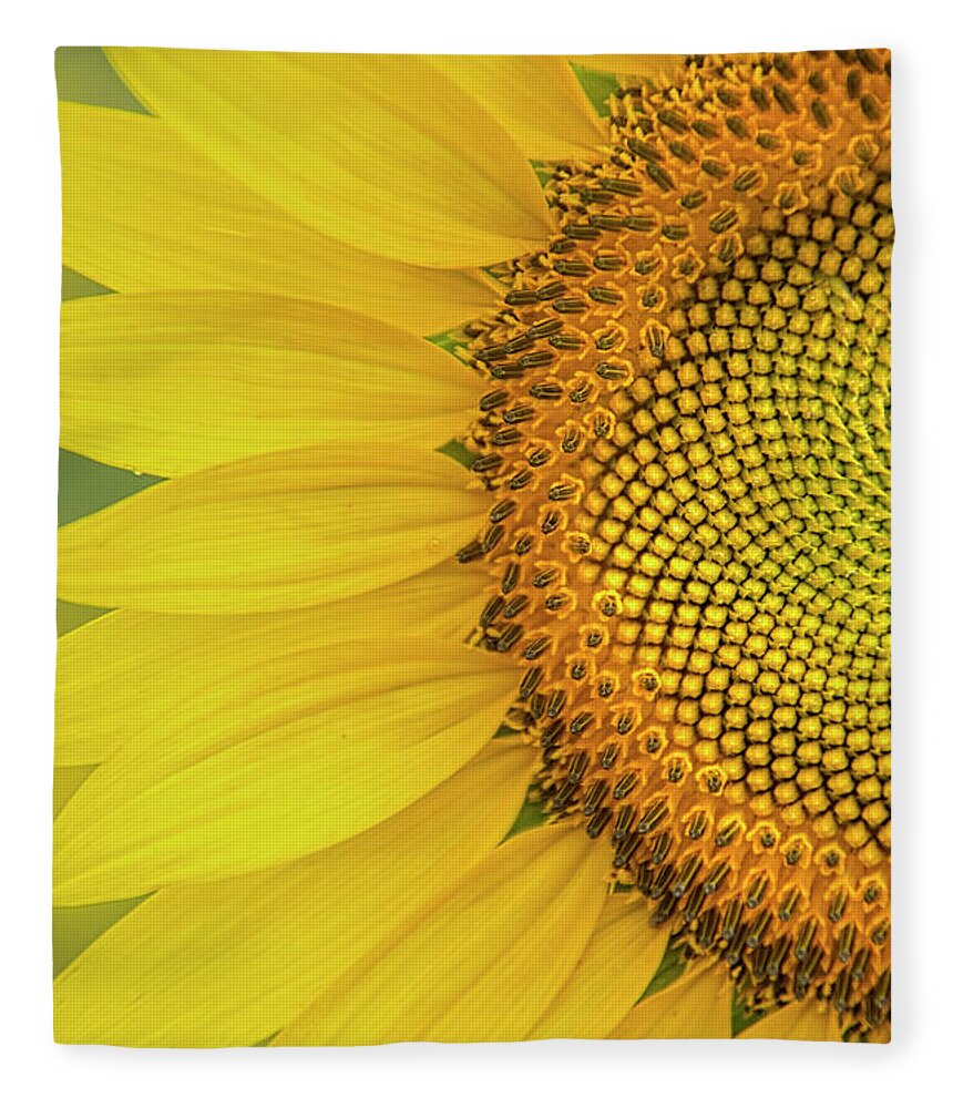 Sunflower Fleece Blanket featuring the photograph Sunflower Petals #1 by Erika Fawcett