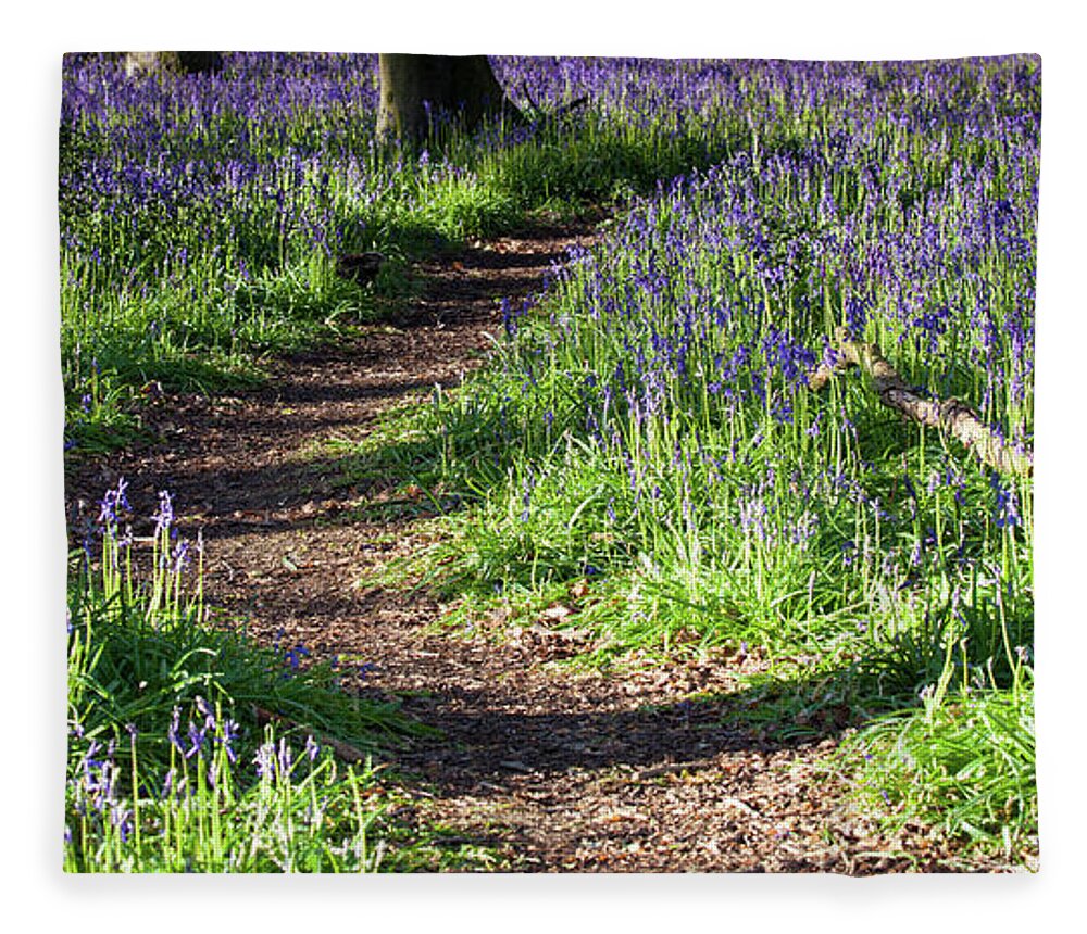 Norfolk Fleece Blanket featuring the photograph Norfolk, England sunrise path through bluebell woods by Simon Bratt