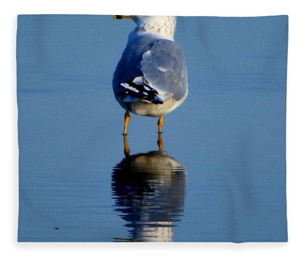 Bird Fleece Blanket featuring the photograph Tan Lines by Dani McEvoy