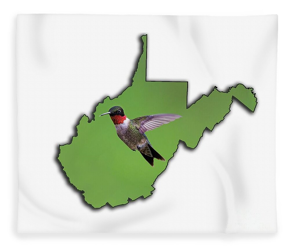 Green And Red; The Ruby-throated Hummingbird; Hummingbird; Bird; Hummingbird Fleece Blanket featuring the photograph The Ruby-throated Hummingbird #1 by Dan Friend