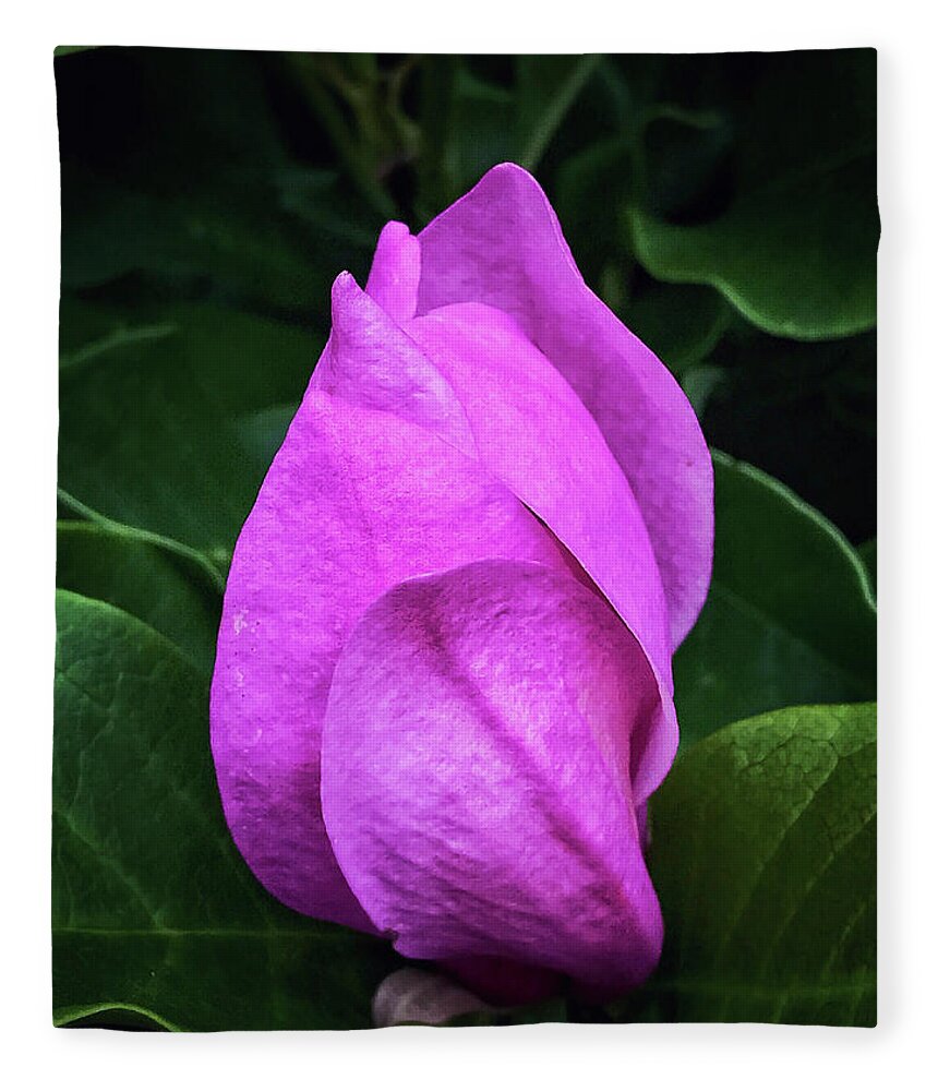 Magnolia Fleece Blanket featuring the photograph Unfolding by Jill Love