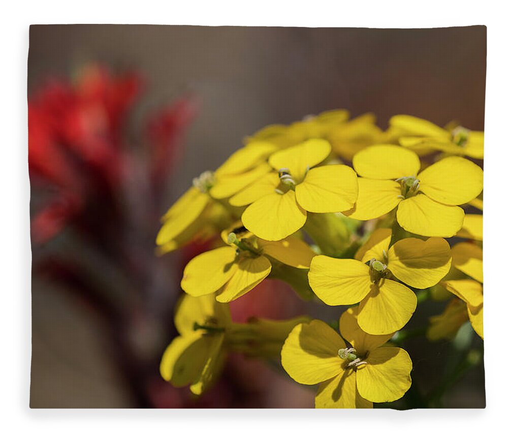 Blooms Fleece Blanket featuring the photograph Wallflower #1 by Robert Potts