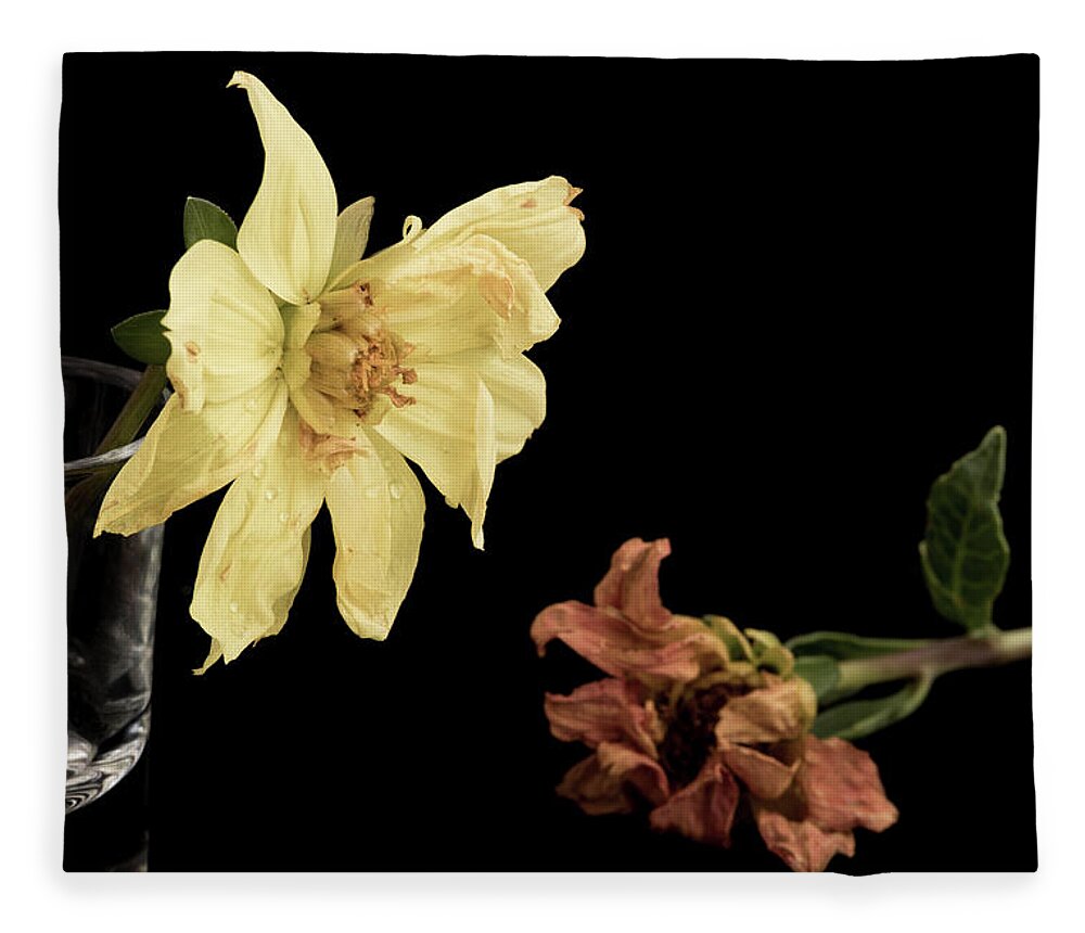 Wither Flower Fleece Blanket featuring the photograph Yellow Wither Dahlia flowers #1 by Michalakis Ppalis