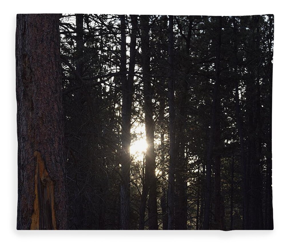 Woods Fleece Blanket featuring the photograph Sunrise Back Country CO #2 by Margarethe Binkley