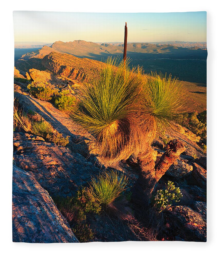 Wilpena Pound St Mary Peak Filinders Ranges South Australia Australain Landscape Landscapes Outback Moon Xanthorhoea Fleece Blanket featuring the photograph Wilpena Pound #10 by Bill Robinson