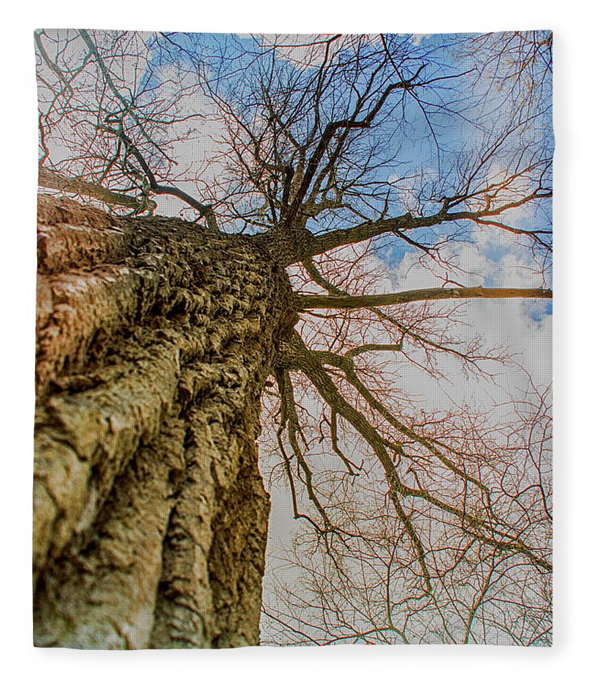 Tree Fleece Blanket featuring the photograph 10913 I Am Groot by Pamela Williams