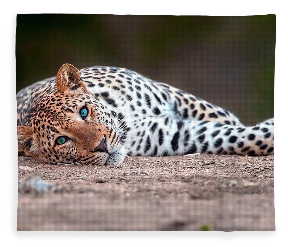 Leopard Fleece Blanket featuring the digital art Leopard #11 by Super Lovely