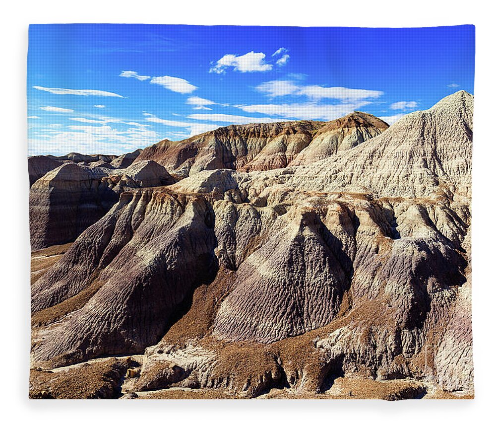 Arizona Fleece Blanket featuring the photograph Arizona Petrified Forest #13 by Raul Rodriguez
