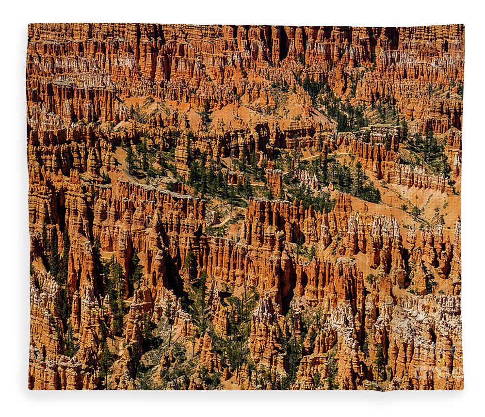 Bryce Canyon Fleece Blanket featuring the photograph Bryce Canyon Utah #14 by Raul Rodriguez