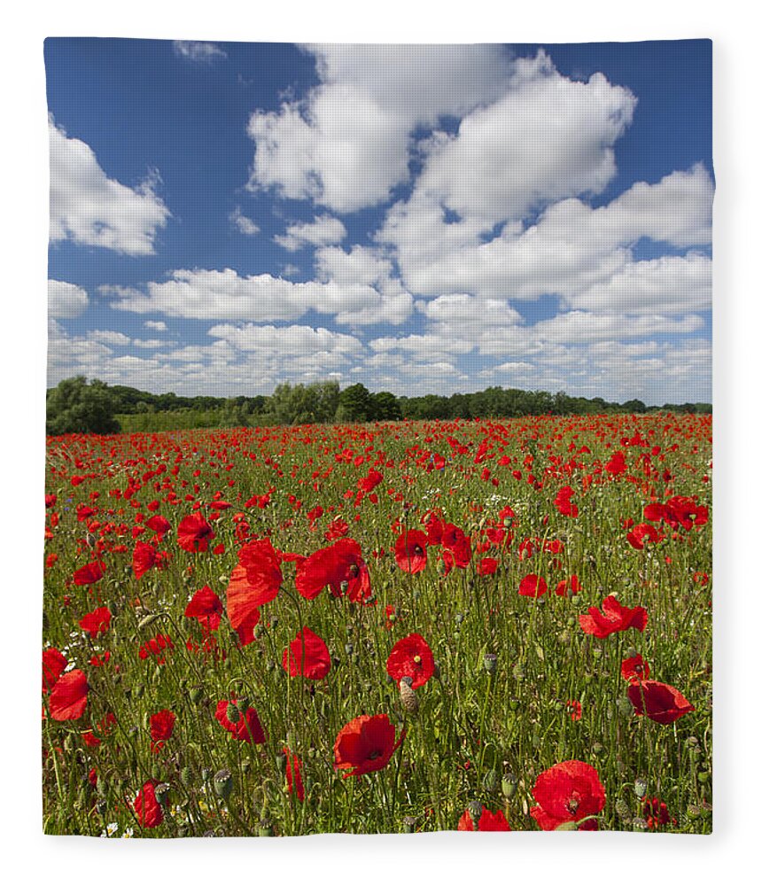 Common Poppy Fleece Blanket featuring the photograph 151124p076 by Arterra Picture Library