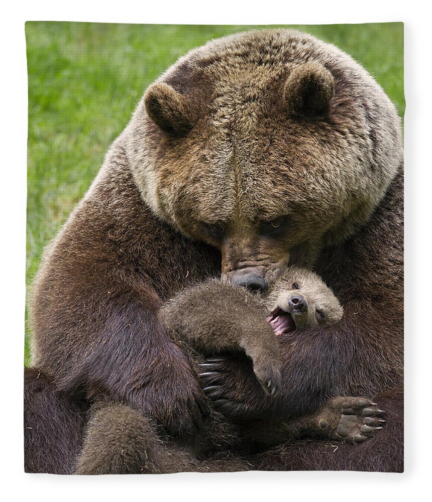 Cute Fleece Blanket featuring the photograph Mother bear cuddling cub by Arterra Picture Library
