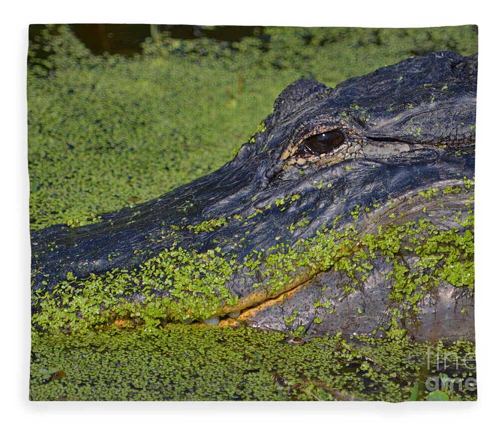 Alligator Fleece Blanket featuring the photograph 18- American Alligator by Joseph Keane