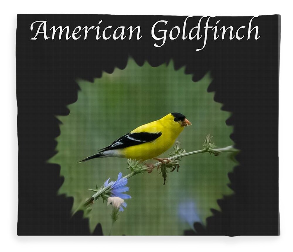 American Goldfinch Fleece Blanket featuring the photograph American Goldfinch by Holden The Moment