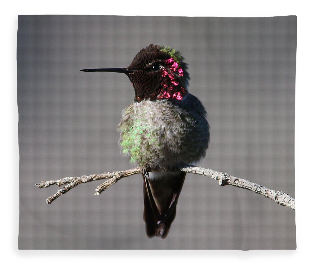 California Fleece Blanket featuring the photograph copyright twentytwenty Anna's Hummingbird by Perry Hoffman