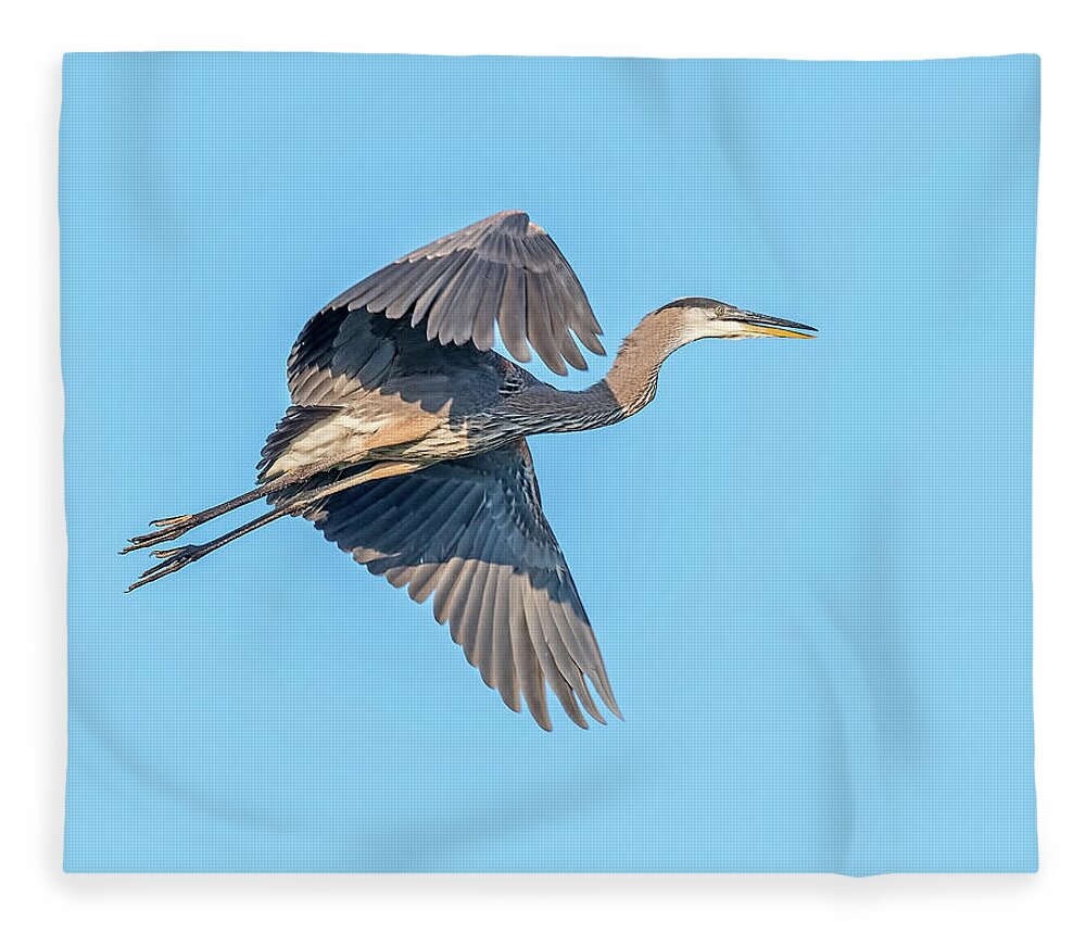Great Blue Heron Fleece Blanket featuring the photograph Great Blue Heron #2 by Jim Zablotny