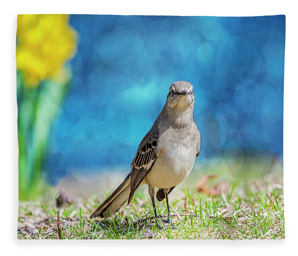 Avian Fleece Blanket featuring the photograph Mockingbird by Cathy Kovarik