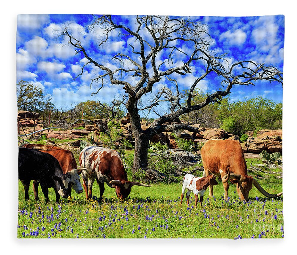 African Breed Fleece Blanket featuring the photograph Texas Hill Country #2 by Raul Rodriguez