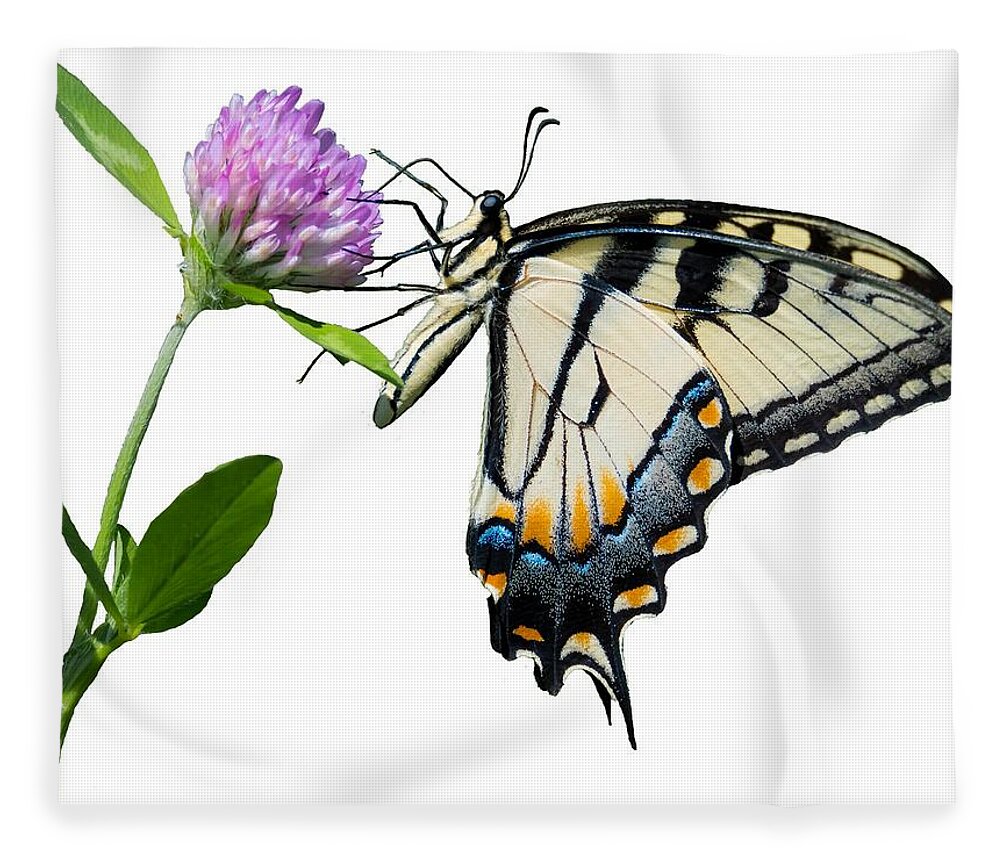 Tiger Swallowtail Butterfly Fleece Blanket featuring the photograph Tiger Swallowtail Butterfly by Holden The Moment