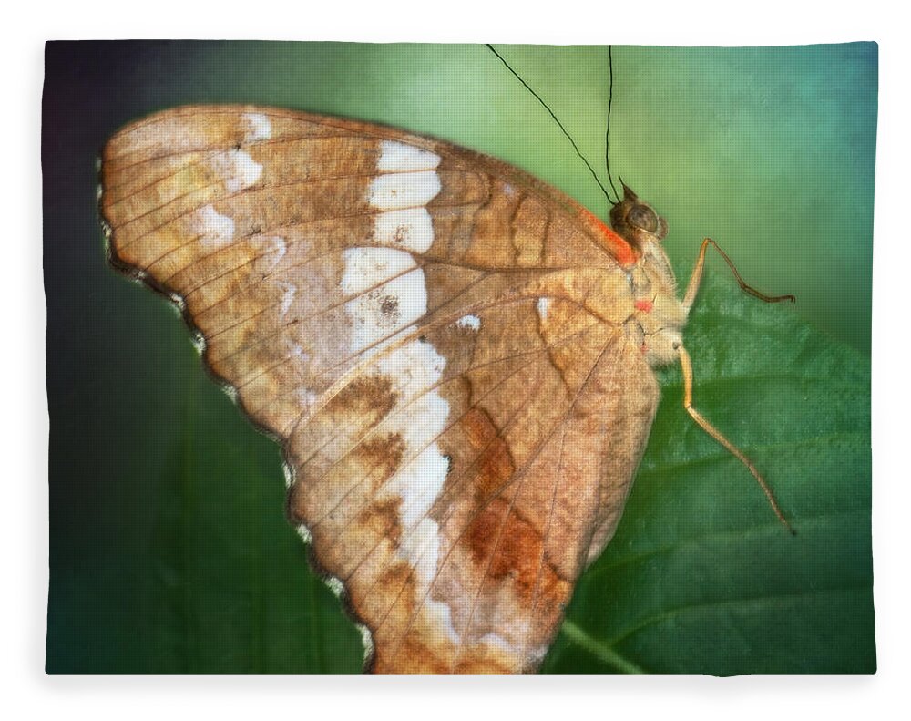 Tropical Butterfly Fleece Blanket