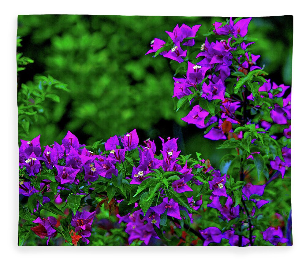  Fleece Blanket featuring the photograph 2- Visions of Violet by Joseph Keane