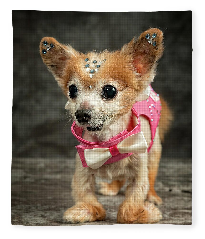 Gizmo Fleece Blanket featuring the photograph 20170804_ceh1147 by Christopher Holmes