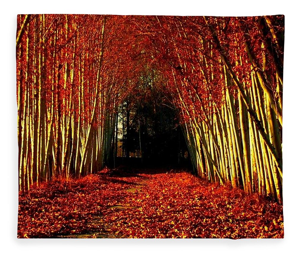 Path Fleece Blanket featuring the photograph Path #22 by Jackie Russo