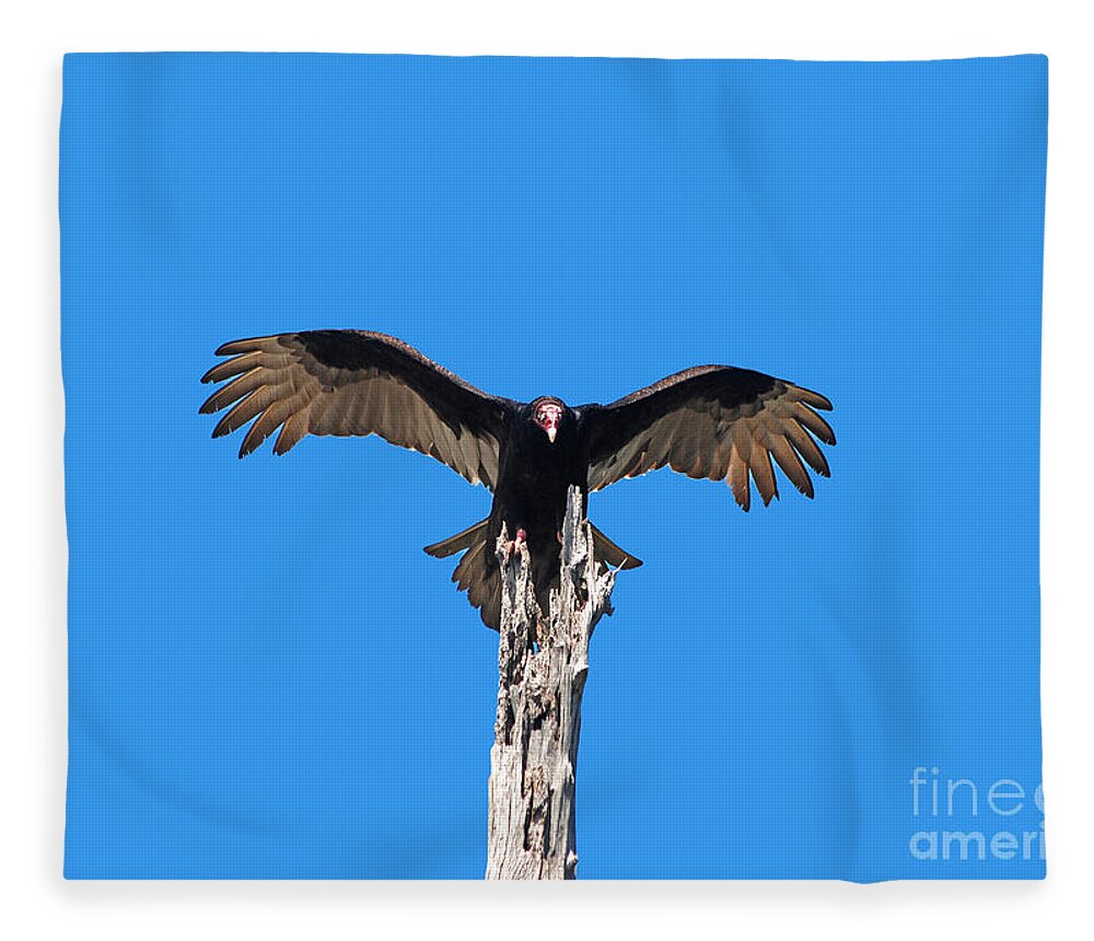 Turkey Vulture Fleece Blanket featuring the photograph 29- Turkey Vulture by Joseph Keane