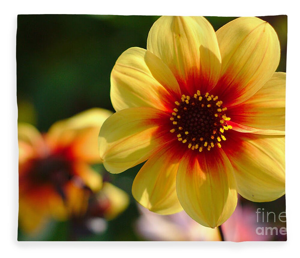Flowers Fleece Blanket featuring the photograph Autumn Flowers #3 by Jeremy Hayden