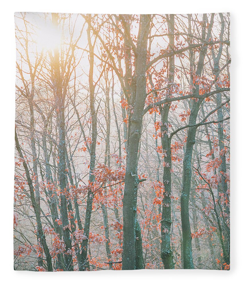 Landscape Fleece Blanket featuring the photograph Autumn forest #3 by Jelena Jovanovic